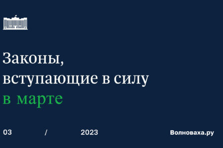Какие законы вступают в силу в марте 2023 года для жителей ЛНР, ДНР, Запорожской и Херсонской областей?