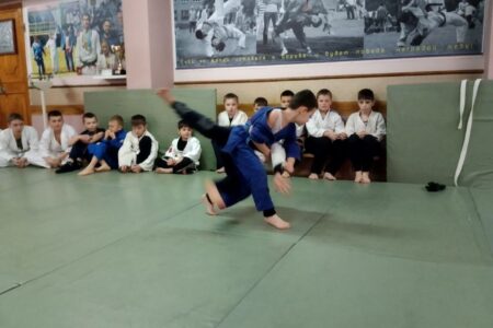 В Донском центре культуры и досуга состоялся районный турнир по борьбе дзюдо - фотография 3