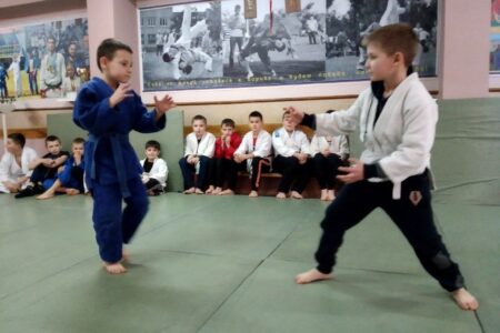 В Донском центре культуры и досуга состоялся районный турнир по борьбе дзюдо - фотография 4