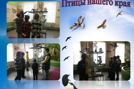 Сотрудники Волновахского районного краеведческого музея организовали для детей экологическую викторину «Птицы нашего края»