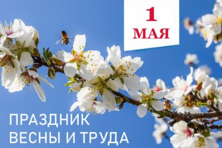 Денис Пушилин поздравил жителей Республики с Праздником весны и труда